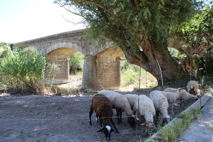 Pont de Rieux en Val