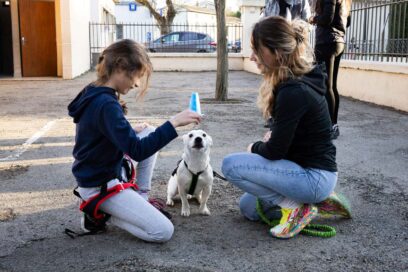 Agrandir l'image, fenêtre modale