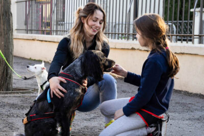 Agrandir l'image 4 sur 4, fenêtre modale