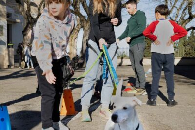 Agrandir l'image 3 sur 4, fenêtre modale