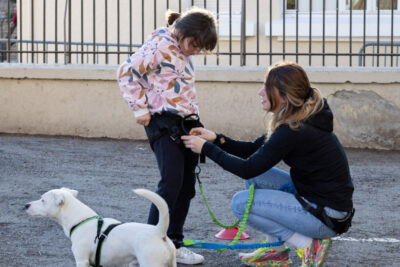 Agrandir l'image 2 sur 4, fenêtre modale