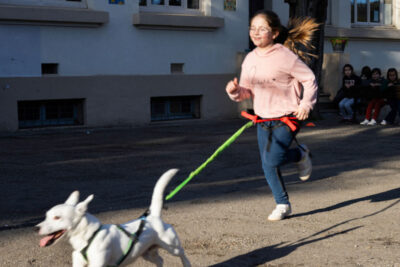 Agrandir l'image 2 sur 4, fenêtre modale