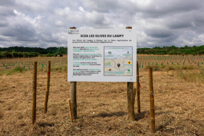 Agrandir l'image 1 sur 4, fenêtre modale