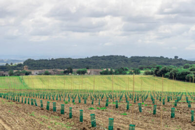 Agrandir l'image 2 sur 4, fenêtre modale