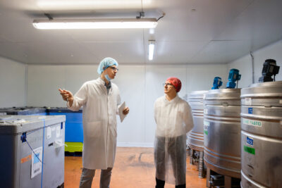 Agrandir l'image 2 sur 2, fenêtre modale