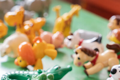 Agrandir l'image 5 sur 8, fenêtre modale