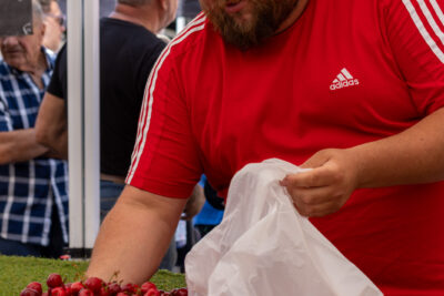 Vendeur de cerise - Agrandir l'image 6 sur 8, fenêtre modale