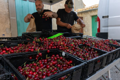 Stand de cerise - Agrandir l'image 4 sur 8, fenêtre modale