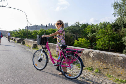 Agrandir l'image, fenêtre modale