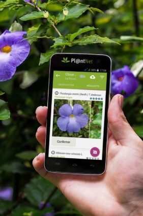 Agrandir l'image, fenêtre modale