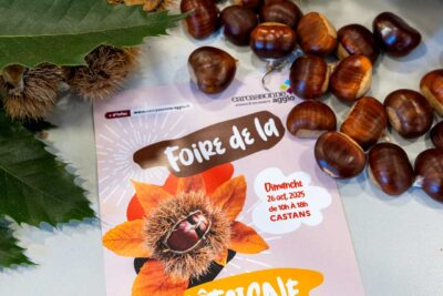 Agrandir l'image 2 sur 3, fenêtre modale