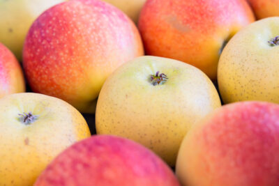 Agrandir l'image 5 sur 5, fenêtre modale