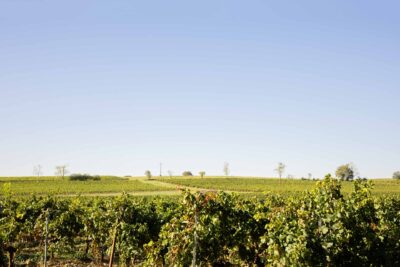 Agrandir l'image 7 sur 7, fenêtre modale