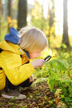 Agrandir l'image, fenêtre modale