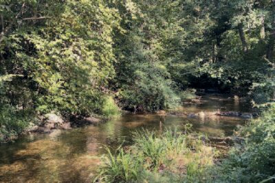 Agrandir l'image 1 sur 3, fenêtre modale