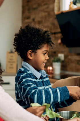 Agrandir l'image, fenêtre modale