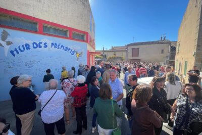 Agrandir l'image 7 sur 7, fenêtre modale