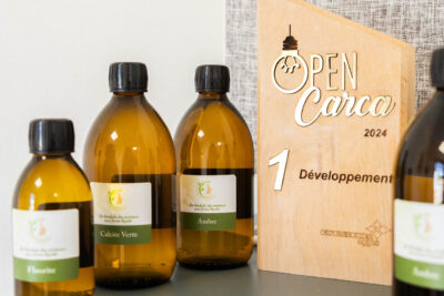 Agrandir l'image 1 sur 3, fenêtre modale