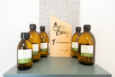 Agrandir l'image 3 sur 3, fenêtre modale