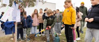 Les enfants devant l'olivier planté, un enfant verse de la terre avec une pelle