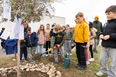 Les enfants devant l'olivier planté, un enfant verse de la terre avec une pelle