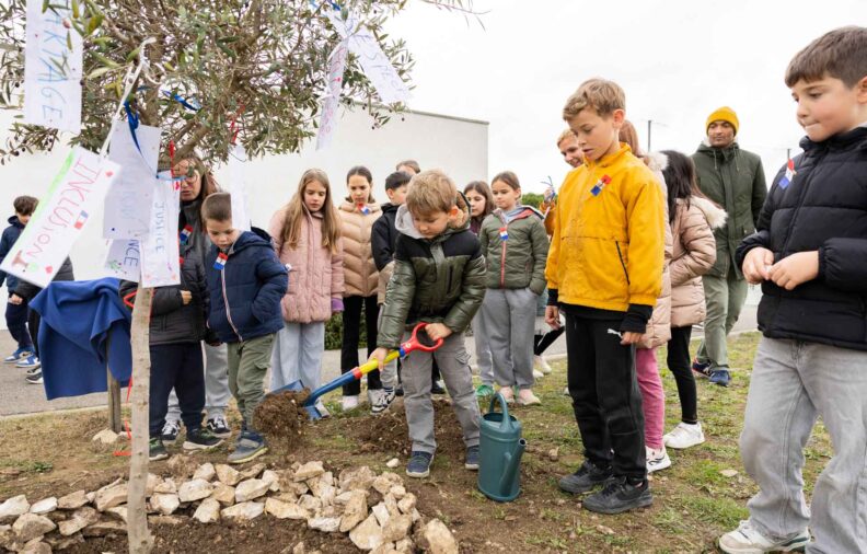 Les enfants devant l'olivier planté, un enfant verse de la terre avec une pelle