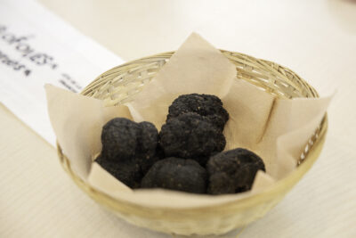 Agrandir l'image 1 sur 3, fenêtre modale